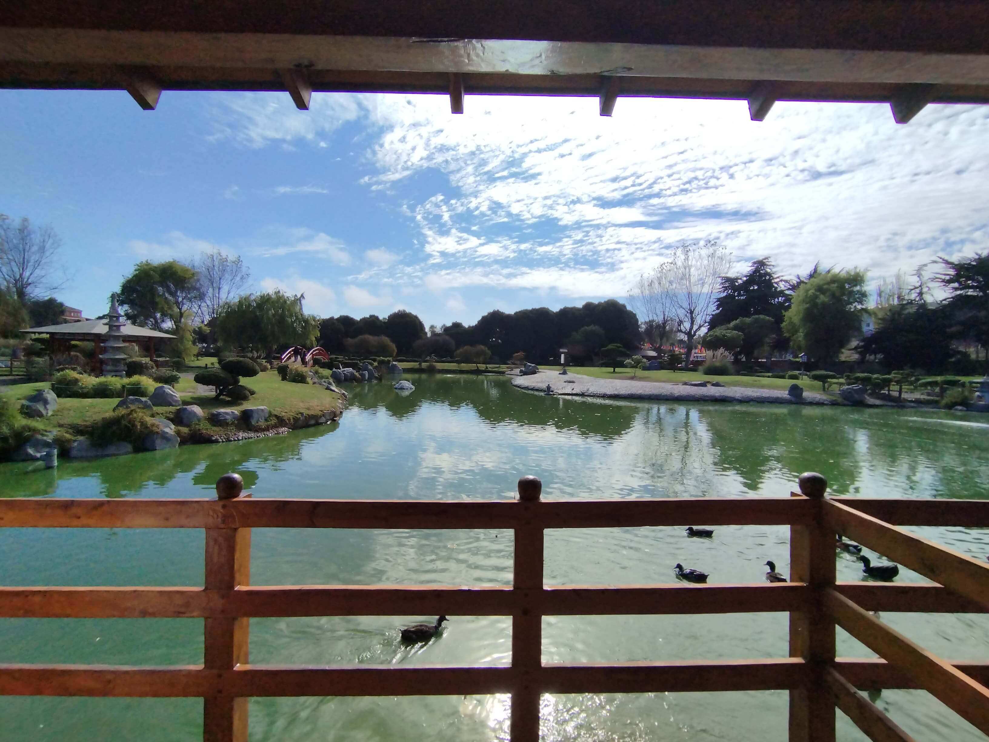 Puente en el Jardín Japonés de La Serena